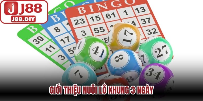 Giới thiệu nuôi lô khung 3 ngày